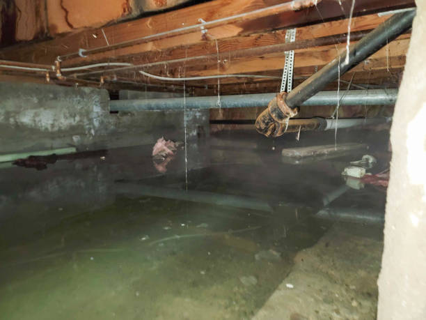 Carpet water damage restoration in Moriarty, NM