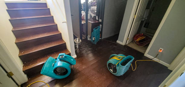 Best 24-hour water damage restoration  in Moriarty, NM