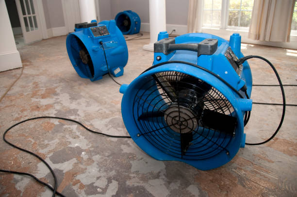 Best Flooded house restoration  in Moriarty, NM