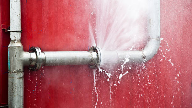 Best Water damage restoration process  in Moriarty, NM