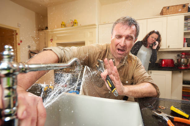 Best Professional water damage repair  in Moriarty, NM